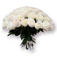 Розы Кэндилейн (221) 70 см  