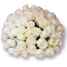 Розы Кэндилейн (221) 70 см  
