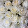 Розы Кэндилейн (221) 70 см  
