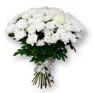 Букет хризантем Балтика 383