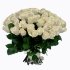 Белые розы сорта "Вендела" 468