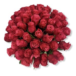 Малиновые розы сорта « Черри О» 469