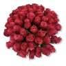 Малиновые розы сорта « Черри О» 469