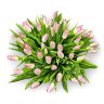 Букет из 51 розового тюльпана (344)