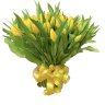Букет желтых тюльпанов 101 шт (354)