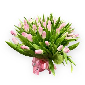 Букет розовых тюльпанов 101 шт (351)