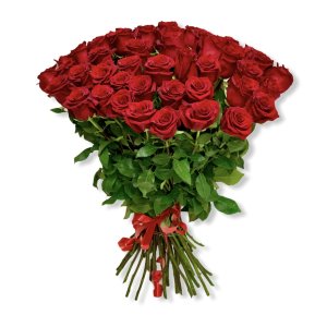 Красные розы сорта Эксплорер поштучно (204) 70 см 
