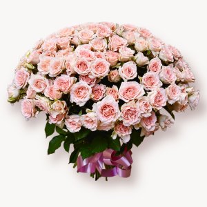 Кустовые розы Свит Сара (271)