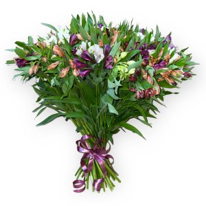 Альстромерия микс (221) 